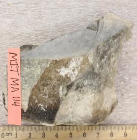 Rhyolite