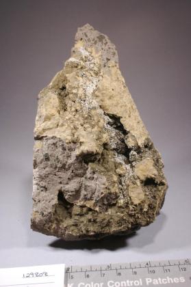 Ferrierite