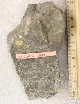 Dedham Granodiorite
