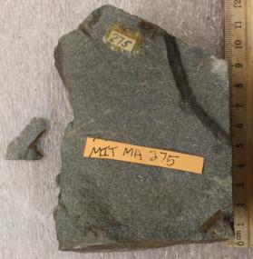 Quartzite in Dedham Granodiorite