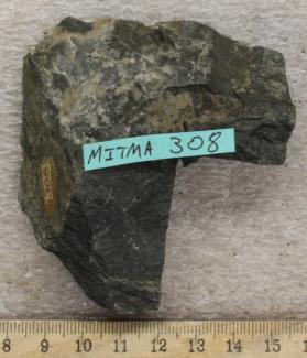 Plagioclase-Amphibolite