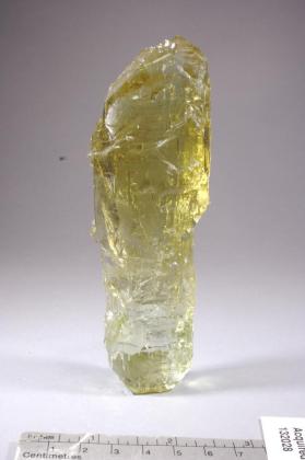 BERYL