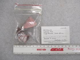 BUSTAMITE