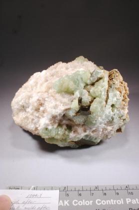 CALCITE with PREHNITE