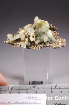 EPIDOTE with PREHNITE