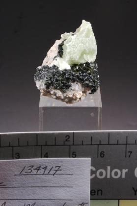 EPIDOTE with PREHNITE