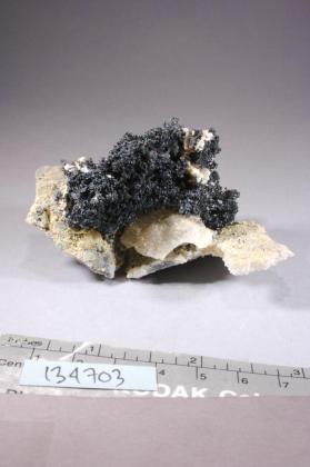 Acanthite with Chalcopyrite