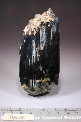 Actinolite