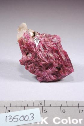 Aeschynite-(Y) with rubellite