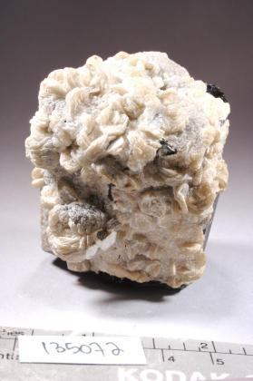 Muscovite with SCHORL