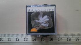 Aragonite