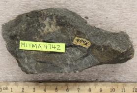 Hornblende Schist