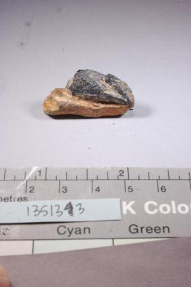 Columbite-(Fe)