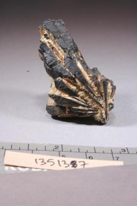 Columbite-(Fe)