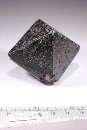 SPINEL