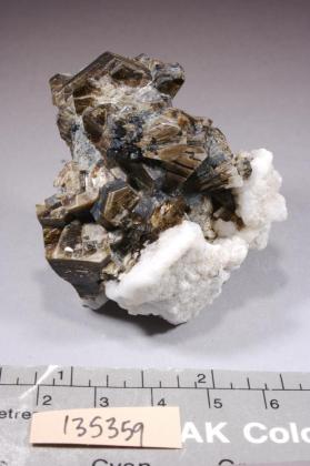 CALCITE with Phlogopite and Thorianite