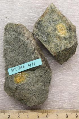 Dedham Granodiorite