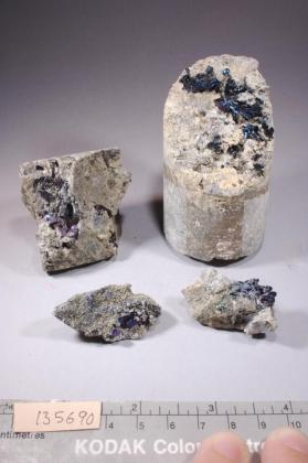 COVELLITE with Pyrite