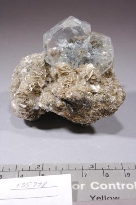 BERYL with CASSITERITE and Muscovite