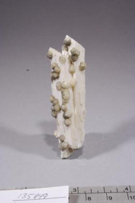 Gyrolite