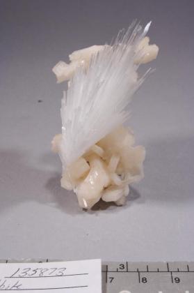 SCOLECITE