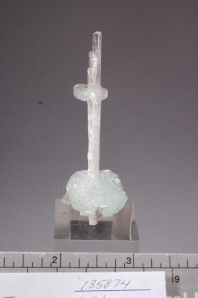 SCOLECITE