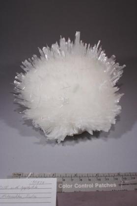 SCOLECITE