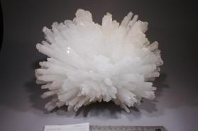 SCOLECITE