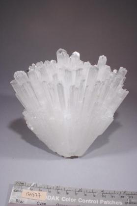 SCOLECITE