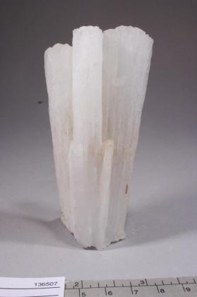 SCOLECITE