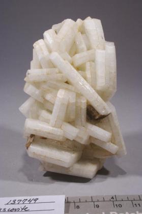 cleavelandite with Muscovite