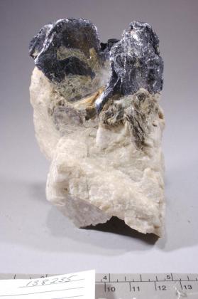 Molybdenite with Feldspar and Muscovite