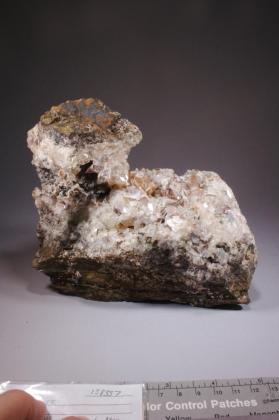Silver with CALCITE and white mineral