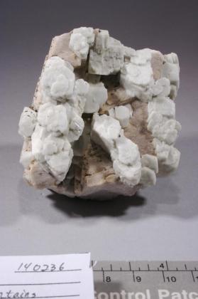 Albite with MICROCLINE