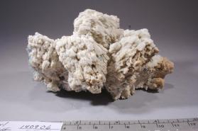 Albite