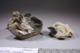 Muscovite