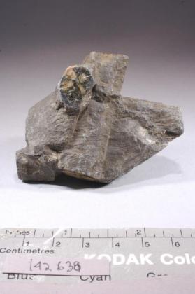 chiastolite