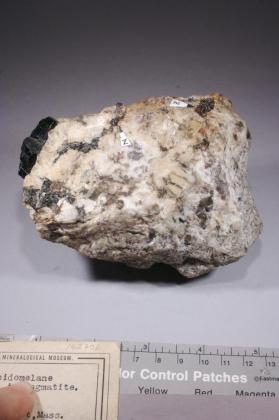 lepidomelane with ZIRCON