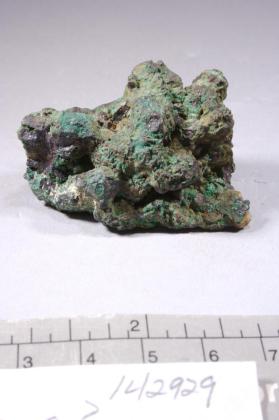 Bornite