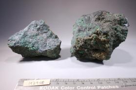 Bornite