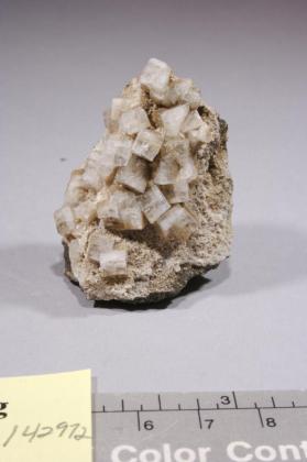 Chabazite