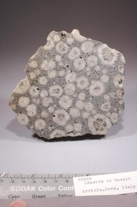 Leucite