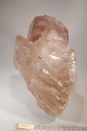 CALCITE