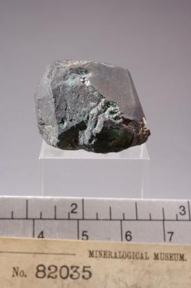 Bornite