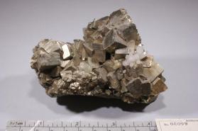 Pyrite with Quartz