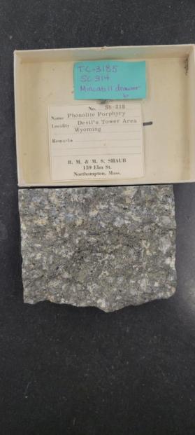 phonolite porphyry