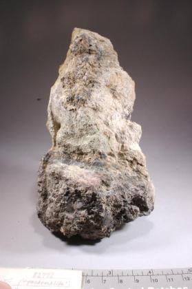 tocornalite