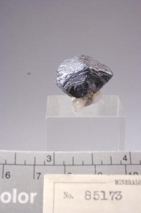 Molybdenite