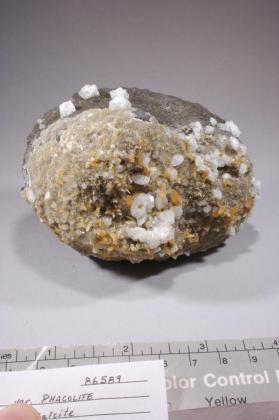 phacolite