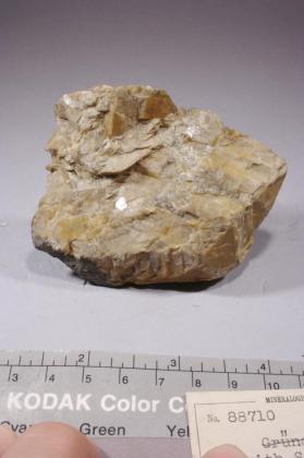 grunauite